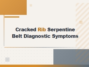 Cracked Rib Serpentine Belt Diagnostic Symptoms and Signs